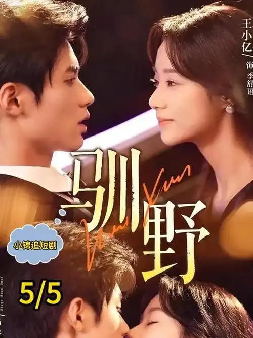 港岛来信 都市爱情剧在线观看